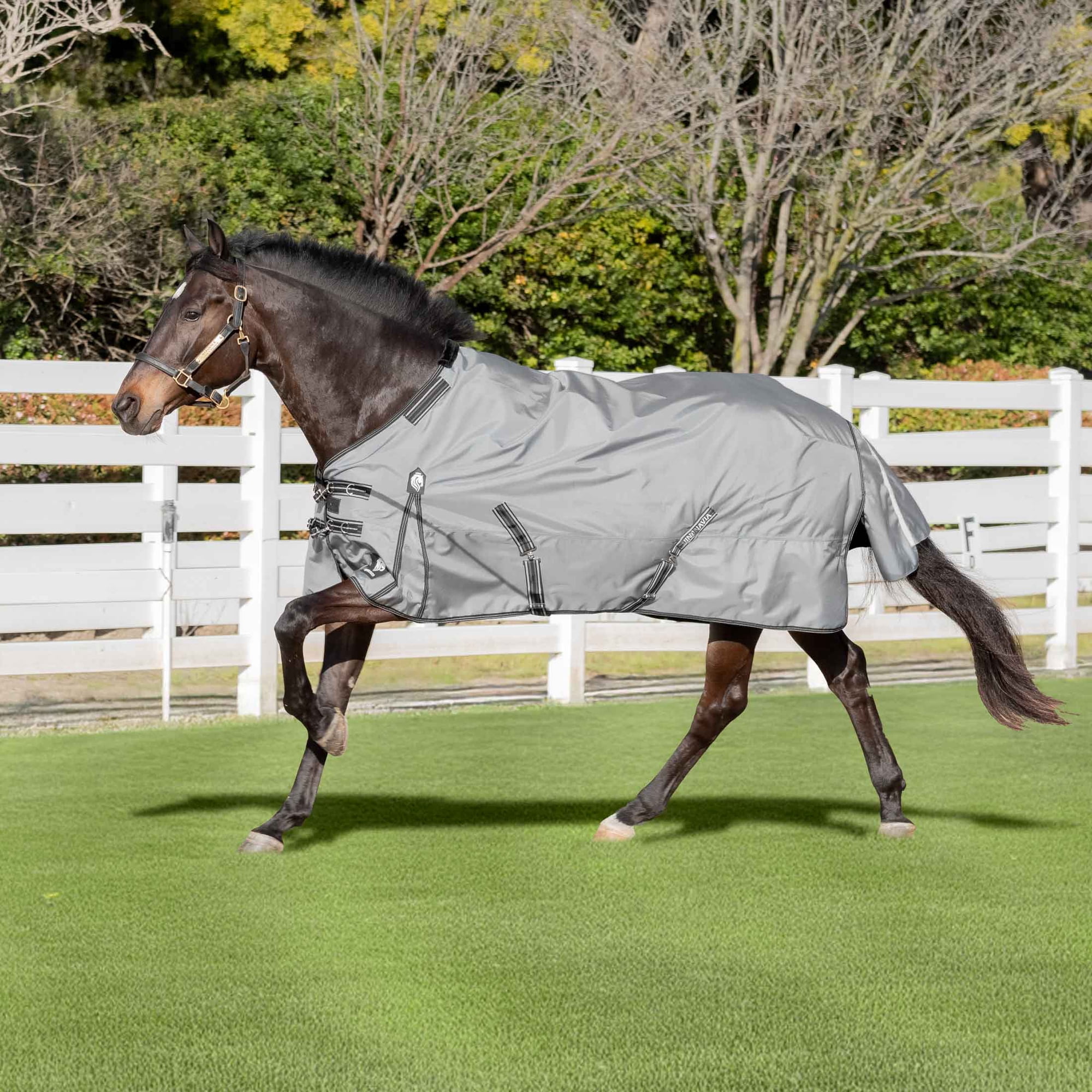 Equinavia Arktis Regular Neck Turnout Sheet
