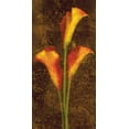 thumbnail image 2 of Seba, John 11x18 Black Ornate Wood Framed with Double Matting Museum Art Print Titled - Callas, 2 of 4