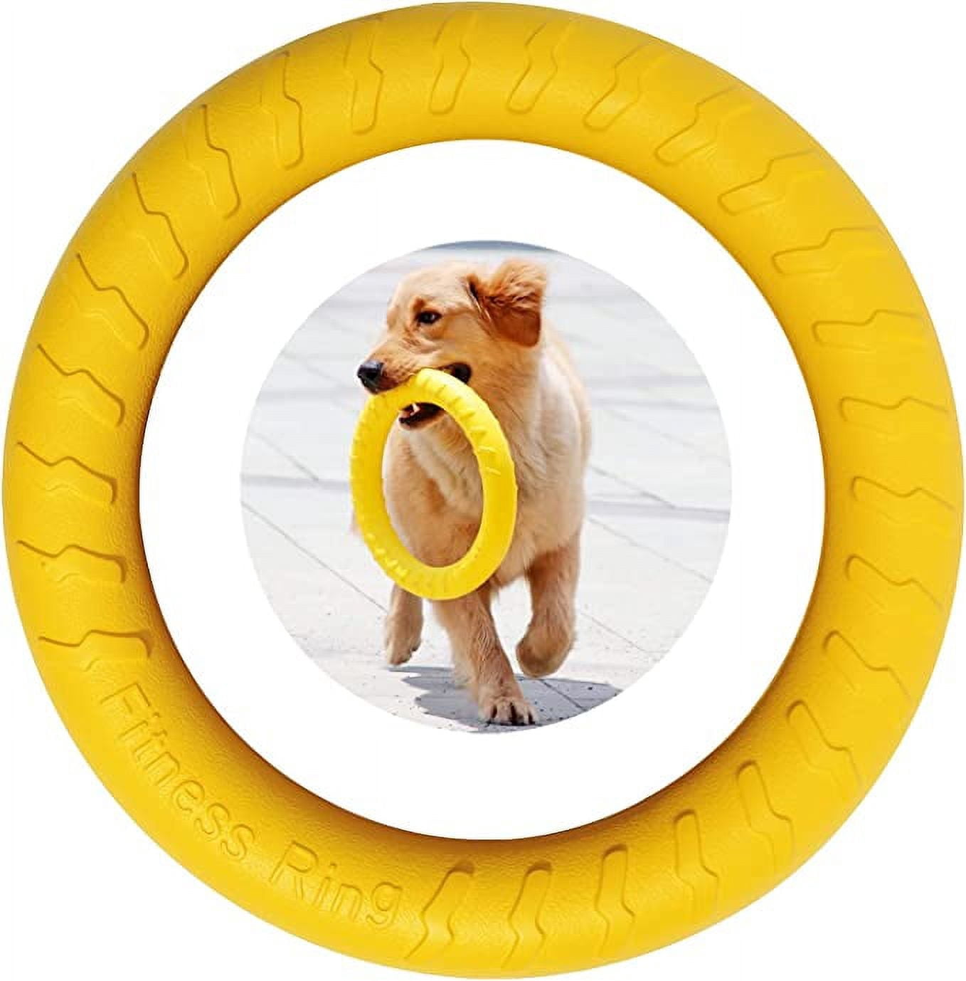 ShenMo 1 Piece Dog Fitness Ring, Dog Agility Exercise Equipment, Interactive Tug of War Training Ring for Small and Large Dogs (Yellow) 19.5cm Diameter