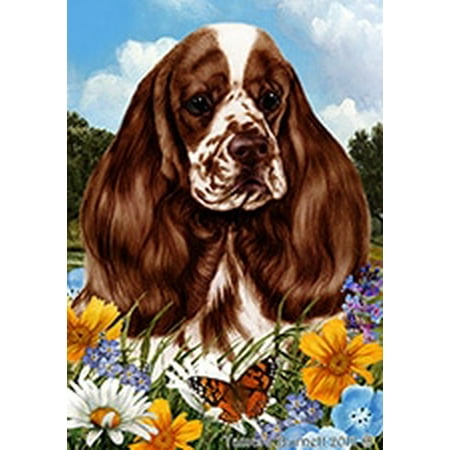 Cocker Spaniel Chocolate and White - Best of Breed Summer Flowers Garden