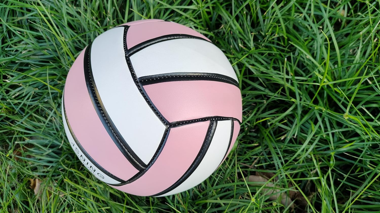 Pink Volleyball, Volley Lite, for Outdoor Indoor Beach Game
