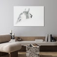 thumbnail image 6 of Empire Art Direct Blanco Mare Horse Frameless Free Floating Tempered Glass Panel Graphic Wall Art, 48" x 32" x 0.2", Ready to Hang, 6 of 9