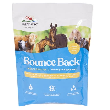 UPC: 0095668941390 | Manna Pro Bounce Back Supplement for Cows  Calves  Horses  Foals  Goat Kids  Llamas  Alpacas  Lambs  Piglets