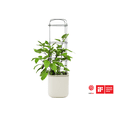 thumbnail image 6 of Vego Garden Planters for Outdoor & Indoor Plants, Large Plant Pots with Self Watering, 15" Tall Large Plant Pots with Trellis for Flowers Plants Decor, Cream White, 6 of 12