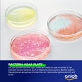 thumbnail image 3 of Kit de proyectos científicos: anlab, placas de Petri con agar nutritivo, 3 of 6