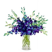 From You Flowers - Bright Blue Dendrobium Orchids - Deluxe (Fresh Flowers) Birthday, Anniversary, Sympathy, All Occasion