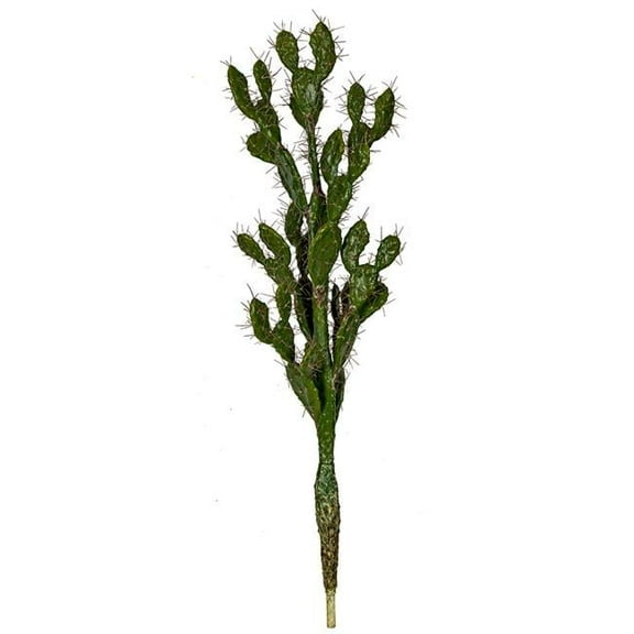 52 in. Prickly Pear Cactus with Needles, Green