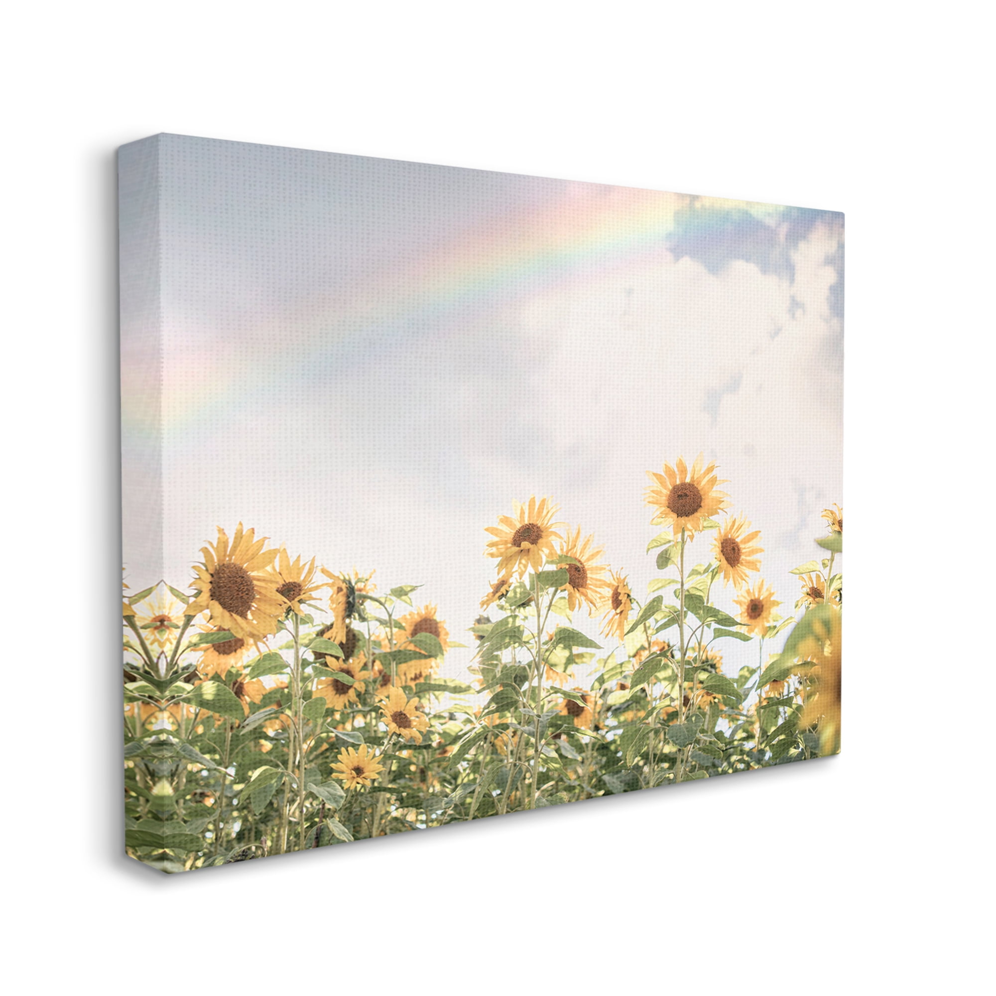 Stupell Industries Rainbow over Sunflowers Botanical & Floral Photography Gallery Wrapped Canvas Print Wall Art, 40 x 30