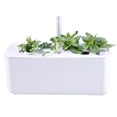 thumbnail image 3 of TTS Hydroponic Garden System w/ 7 Compartments, Educational Compact Smart Garden for Educators and Boys Girls Learners, Perfect for Teaching and Learning Materials - IT10345, 3 of 5
