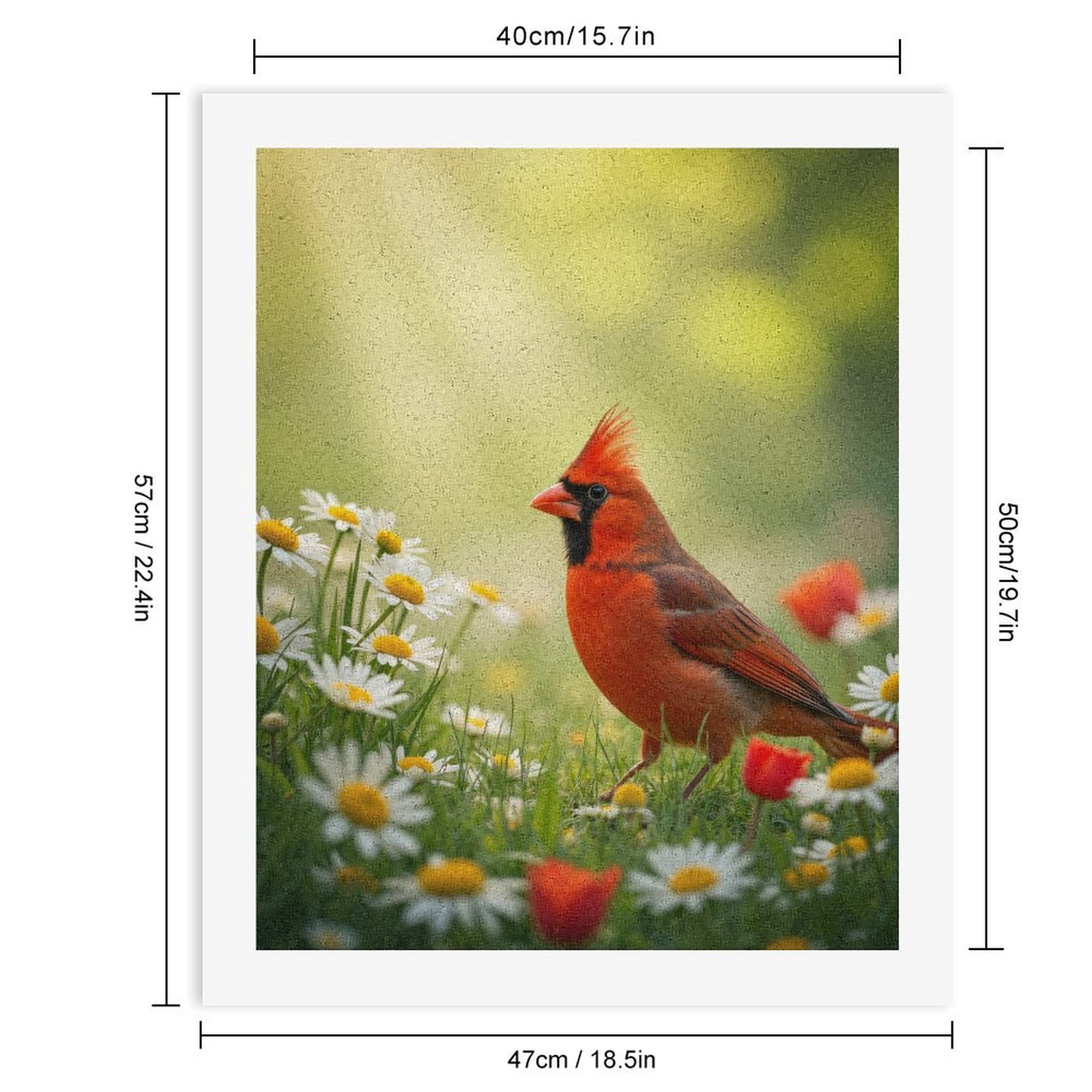 Paint By Numbers Kit for Adults Beginner - DIY Spring Cardinal Blossoms Meadow Canvas Painting Kits for Adults, Frameless Paint By Number for Adults for Home Wall Decor 16x20 Inch