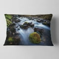 thumbnail image 2 of Designart Fast Flowing Mountain River - Landscape Photography Throw Pillow - 12x20, 2 of 5