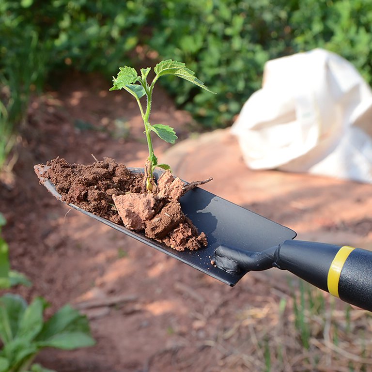 Heavy Duty Garden Trowel - 13" Manganese Steel Hand Shovel with Ergonomic  Rubber Grip, Professional Gardening Tool for Digging, Planting,  Transplanting & Soil Work - Walmart.com