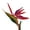 Red, variant on Fusipu Artificial Flower Bird Of Paradise Fake Plant Silk Strelitzia Reginae Home Decor