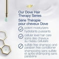 thumbnail image 2 of Dove Dry Scalp Care Shampoo, 2 of 8