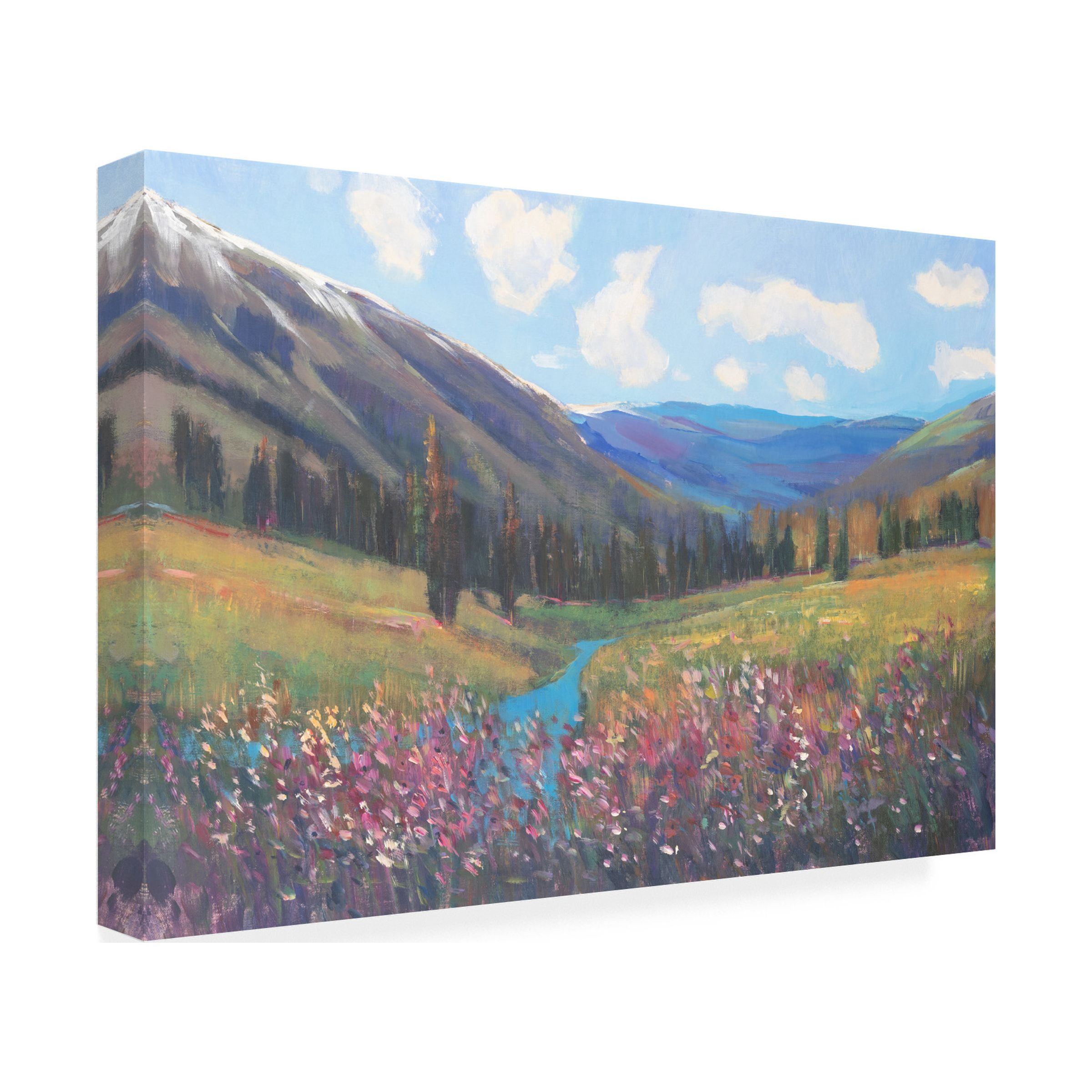 Tim OToole 'Mountain Pass II' Canvas Art