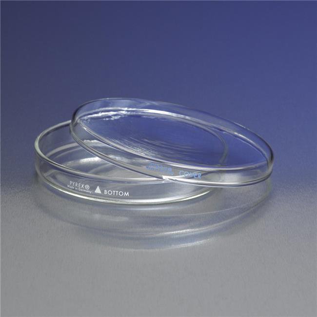 Pyrex 593934 100 x 15 mm Borosilicate Petri Dishes Pack of 12