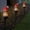 Red, variant on Solar Parrot Garden Lights Solar Parrot Lawn Lights Lights Outdoor Garden Stake Resin Crafts Garden Placement