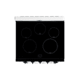 thumbnail image 3 of Unique 30" Classic Retro Induction Range Marshmallow White, 3 of 17