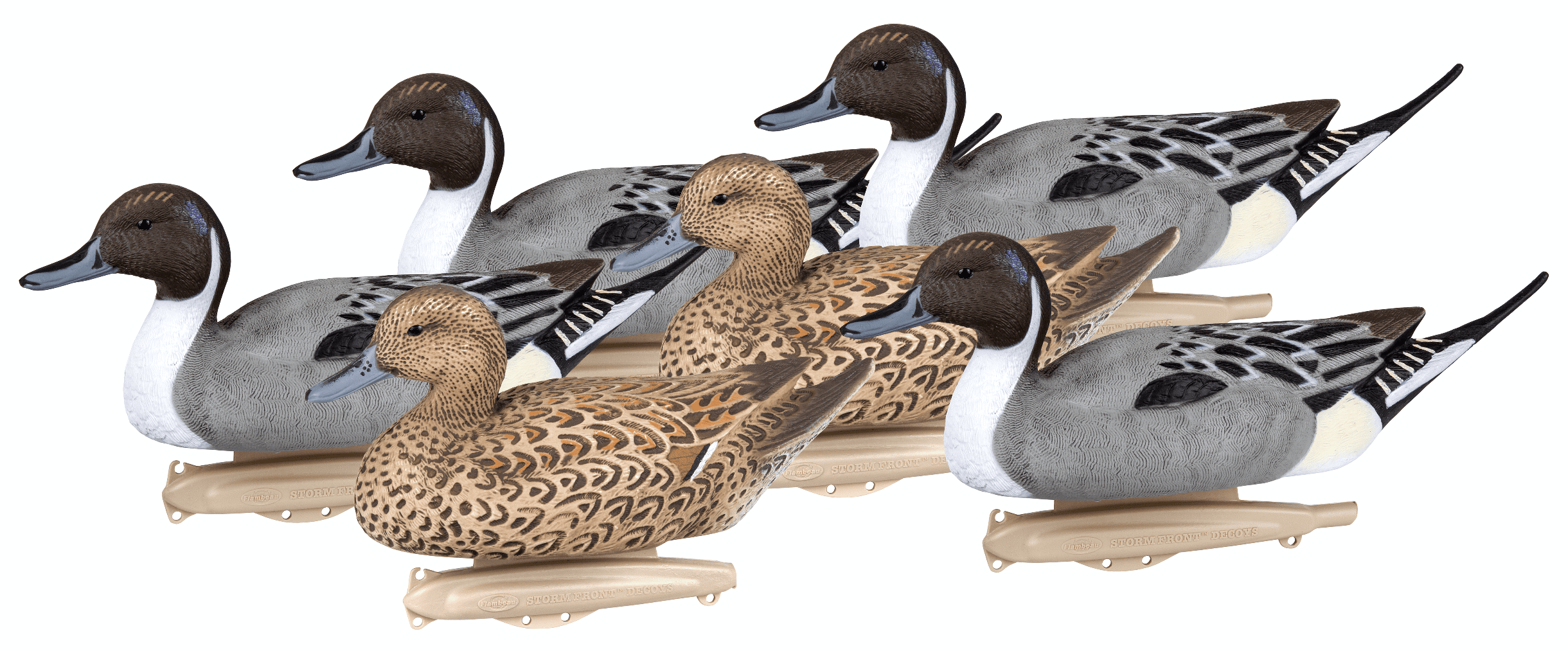 8016SUV for sale online Flambeau Classic Decoy Blue Winged Teal 6 Pk 