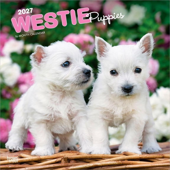 BrownTrout, West Highland Terrier Puppies 2027 Wall Calendar