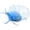 Sky Blue, variant on CAIXIA Fascinator Hat for Women Bulk Derby Tea Party Hat Flower Mesh & Feather Headband Clip Wedding Accessories
