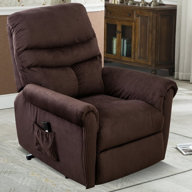 Recliner Chairs for Adults Elderly, Electric Power Lift Recliner Chair