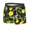 thumbnail image 2 of Balery Lemon Fruits Flowers Leaves Men's Boxer Briefs, Soft and Breathable Cotton Underwear with nylon Waistband-X-Large, 2 of 9