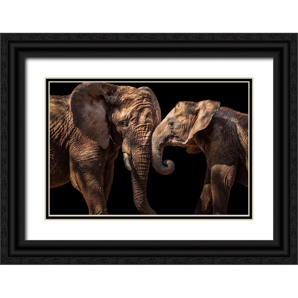 Martins, Vitor 32x23 Black Ornate Wood Framed with Double Matting ...