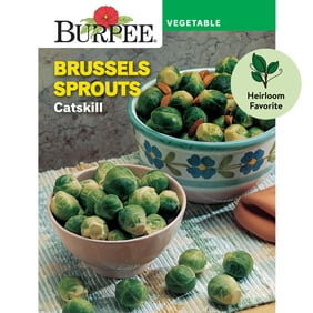 Burpee Catskill Brussels Sprouts Seeds - Non-GMO, Heirloom Vegetable Gardening Seeds, 180mg , 1-Pack