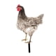 thumbnail image 2 of Adorno de césped de gallina, estatua decorativa de gallo para jardín Estilo C, 2 of 9