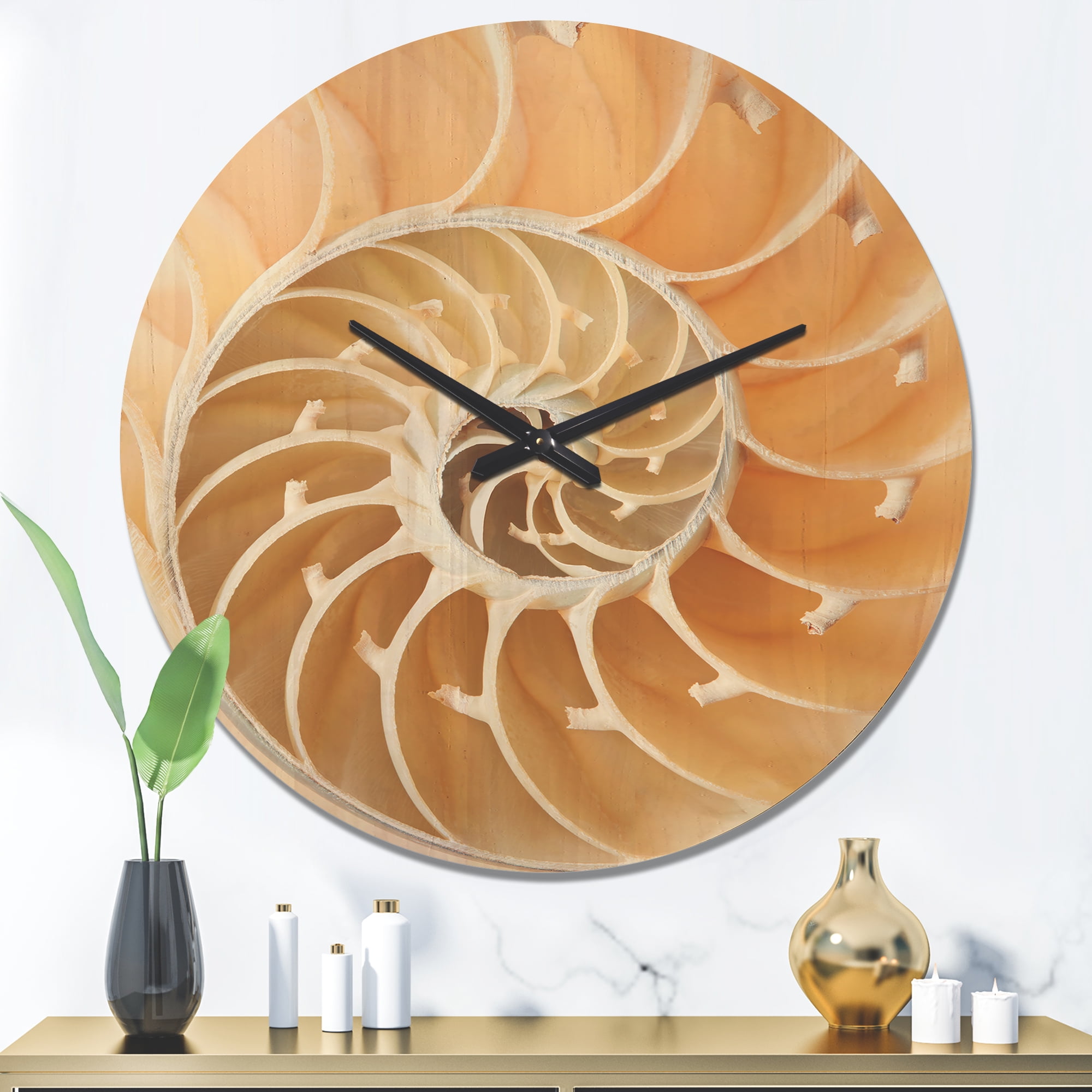 Designart 'Close Up Brown Nautilus Shell Pattern ' Modern Wood Wall Clock