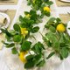 thumbnail image 1 of Artificial Fruit Garland Vines Plastic Pendant Home Decoration Plants Fake Yellow Lemons Green Simulation Lemon Rattan, 1 of 6