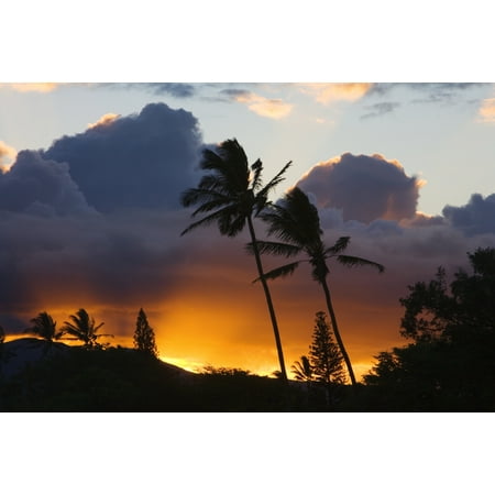 USA Hawaii Maui puffy clouds at sunset North Shore Palm trees on hill Canvas Art - Ron Dahlquist  Design Pics (17 x