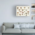 thumbnail image 3 of Wild Apple Portfolio 'Mushroom Chart I Light' Canvas Art, 3 of 3