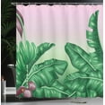 thumbnail image 4 of Ambesonne Garden Shower Curtain, Exotic Orchid Blooms, 69"Wx75"L, Hunter Green Dried Rose, 4 of 5