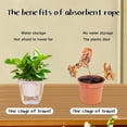 thumbnail image 2 of Self Watering Rope Water Absorbing Cotton Cord Flower Pot Replace, 2 of 8