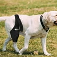 thumbnail image 6 of Dog Leg Support Brace Rear Leg Knee Brace Hip Joint Support Dog Leg Brace, 6 of 9