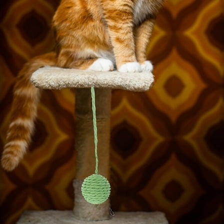 Baluue Cute Scratching Post for Cats with Jute Rope for Indoor Play 1Set