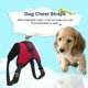 thumbnail image 4 of Breathable Safety Harness for Small to Large Dogs, Easy On/Off, 4 Sizes, 4 of 5