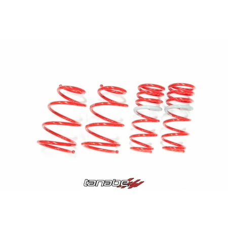 Tanabe Df210 Lowering Springs - Tanabe DF210 Springs for 02-06 Nissan Sentra SER - TDF055