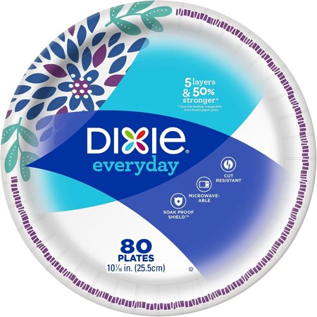 HTYSUPPLY Everyday Paper Plates  Dinner Size (10 1/16 inches) - Pack of 80 Count