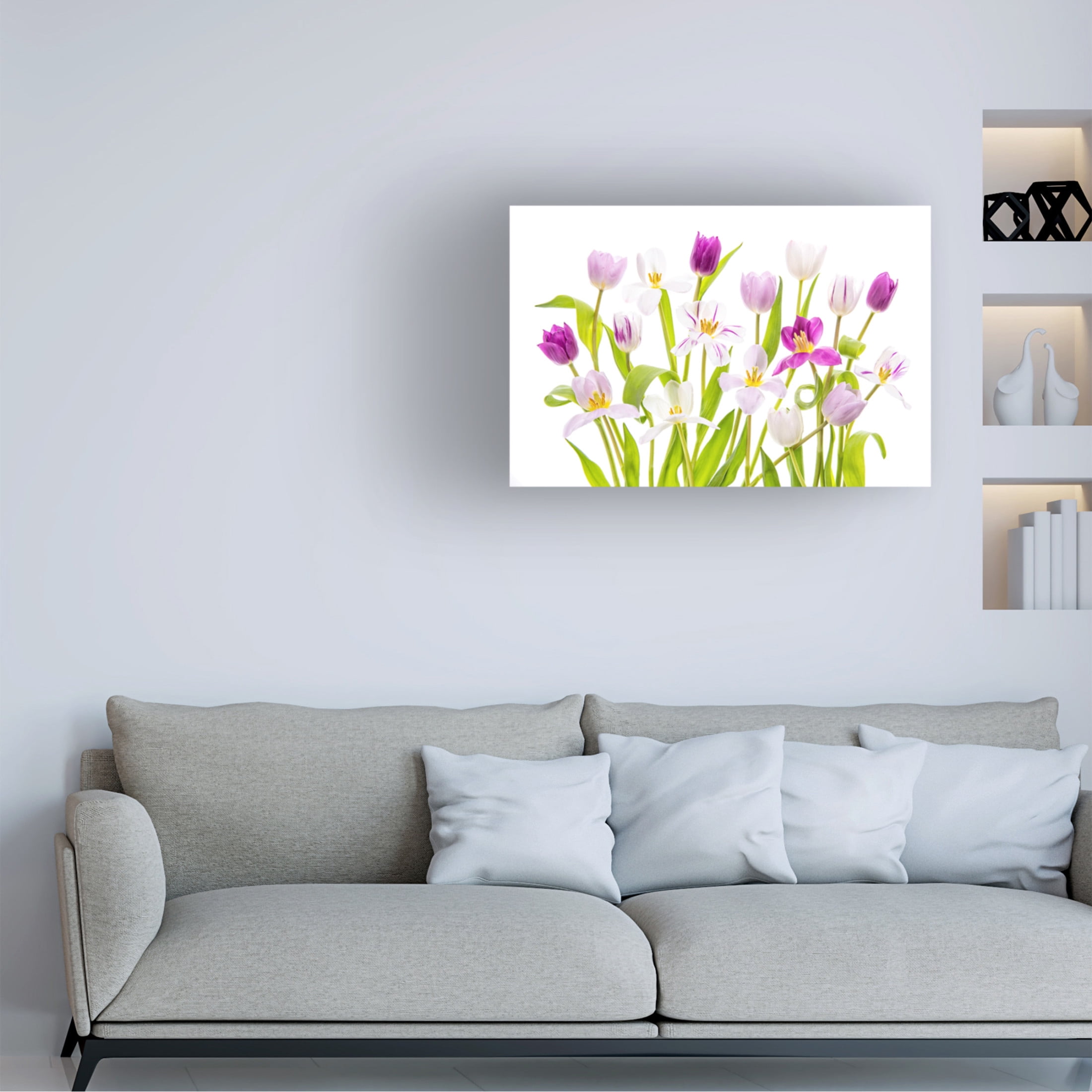 Canvas Wall Art - Jacky Parker 'Tulipa Spring' Wall Art for Living Room, Bedroom, or Office Décor by Trademark Fine Art - 19 x 12 Inches
