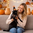 thumbnail image 7 of Halloween Pet Halloween Costume, Adjustable Pumpkin Spider Print 2 Piece Set, 1 Witch Hat 1 Bandana, for Small Dogs Cats Halloween Trick or Treat Party Holiday Decoration, 7 of 7