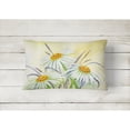 thumbnail image 2 of Carolines Treasures BMBO1108PW1216 Daisies by Maureen Bonfield Canvas Fabric Decorative Pillow, 12H x16W, multicolor, 2 of 3