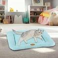 thumbnail image 3 of Pet Dog Bed Indestructible Crate Bed Mat Washable Chew Proof Cat Pad With Hidden Zipper & Bottom For Large Medium And Small Cozy Sleeping M Sky Blue, 3 of 4