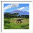 thumbnail image 2 of Art.com A Lone African Elephant (Loxodonta Africana) by Mt. Kilimanjaro, Amboseli Nat'l Park, Kenya Photographic Print by Miva Stock, White Frame Wall Art, 21" x 21", 2 of 5
