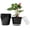 Black, variant on 8 inch Plastic Flower Pots, Red Plant Pots 12Pack with Saucers for Indoor House Plants Growing and Decoration