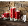 thumbnail image 6 of Haute Decor GarlandTies, 40 Pack of 3 Assorted Sizes - Noble Pine Frosted, 6 of 7