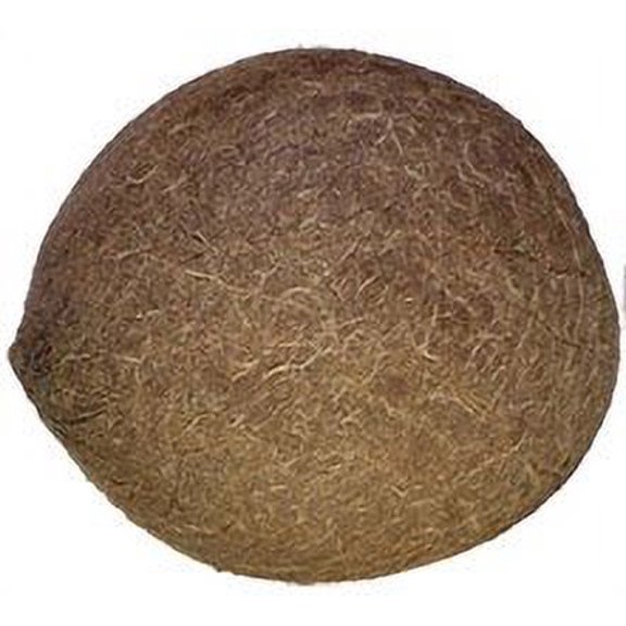 Nirav Dry Coconut (Whole) - 1 pc