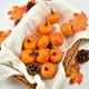 thumbnail image 4 of Accesorios para cosecha de calabazas, 141 piezas Simulación de acción de gracias Calabaza Bellota Artificial Calabaza falsa Hoja de arce Construcción robusta, 4 of 8